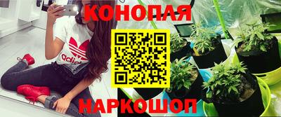 винт Ливны